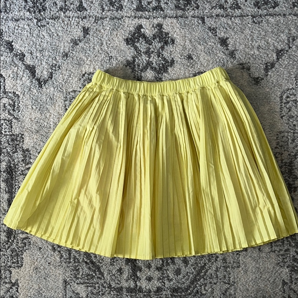 JCrew Pleated Women's Skirt